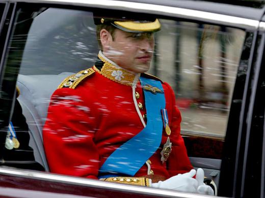 Principe William