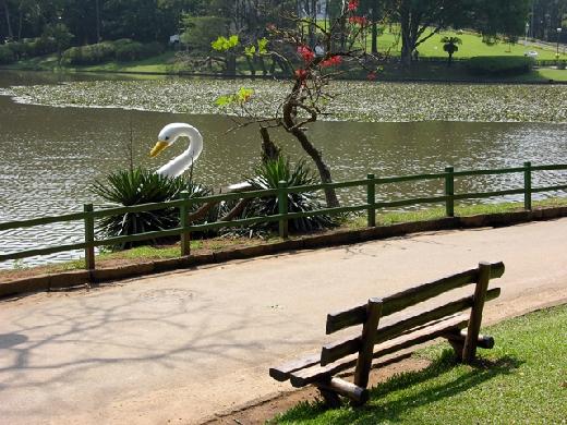 Horto Florestal