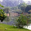 Parque Ibirapuera