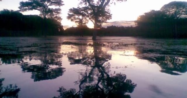Pantanal e o Refúgio Ecológico Caiman possui turismo de aventura